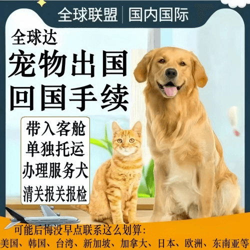 银川市宠物托运到柬埔寨宠物入境规定和要求