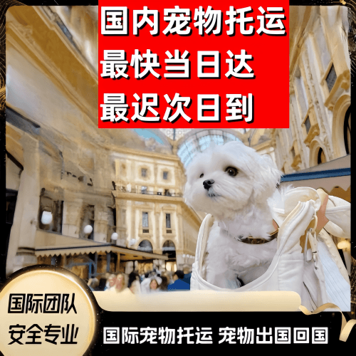 银川市到澳大利亚（澳洲）宠物入境规定和要求